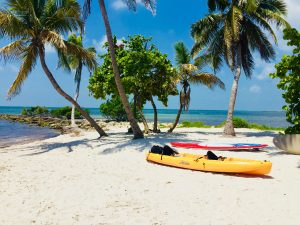 USA Florida Key West unsplash