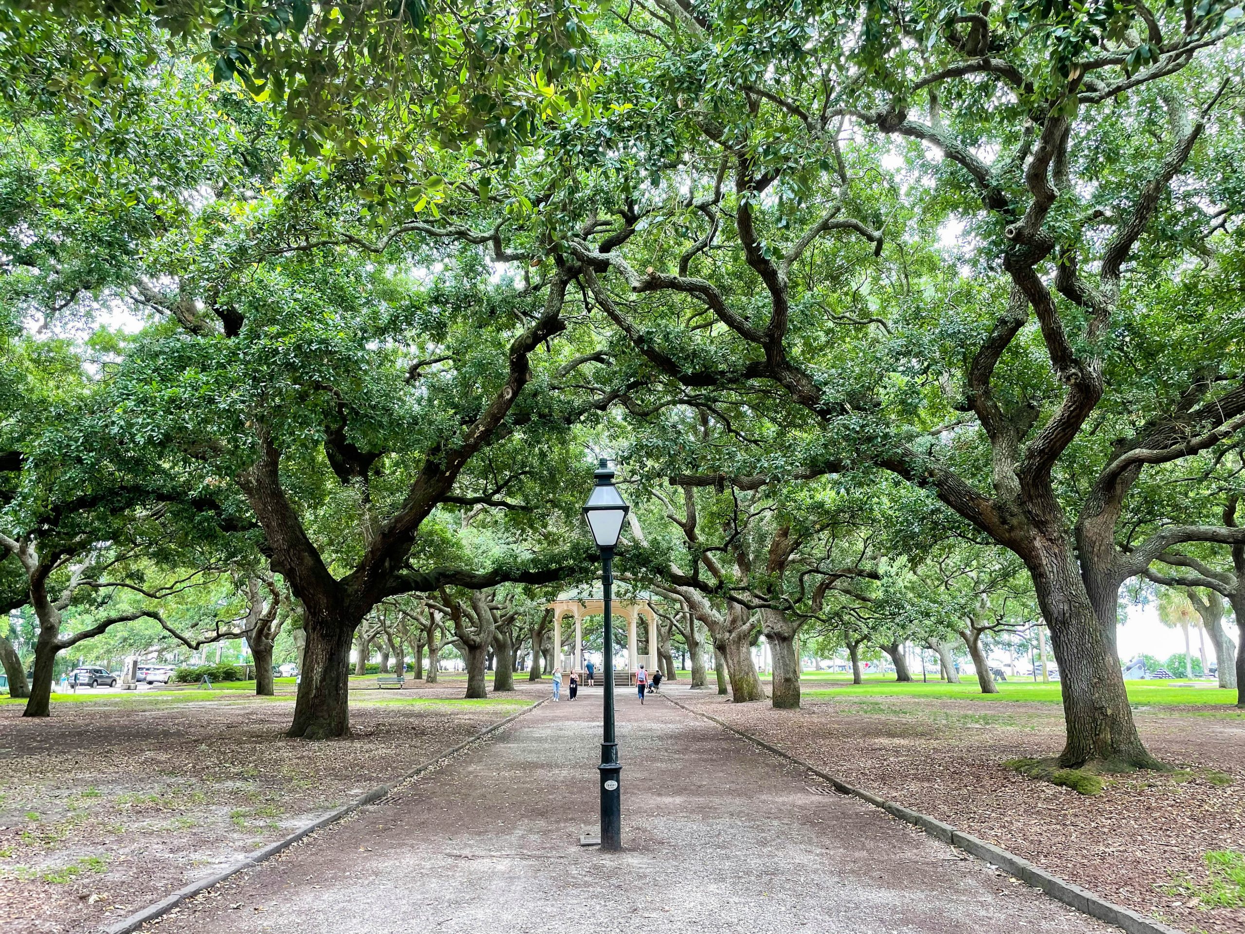 USA Savannah unsplash