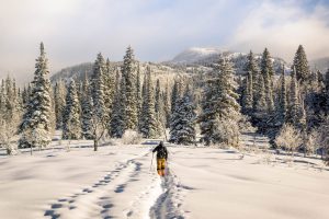 USA Colorado Steamboat Springs unsplash