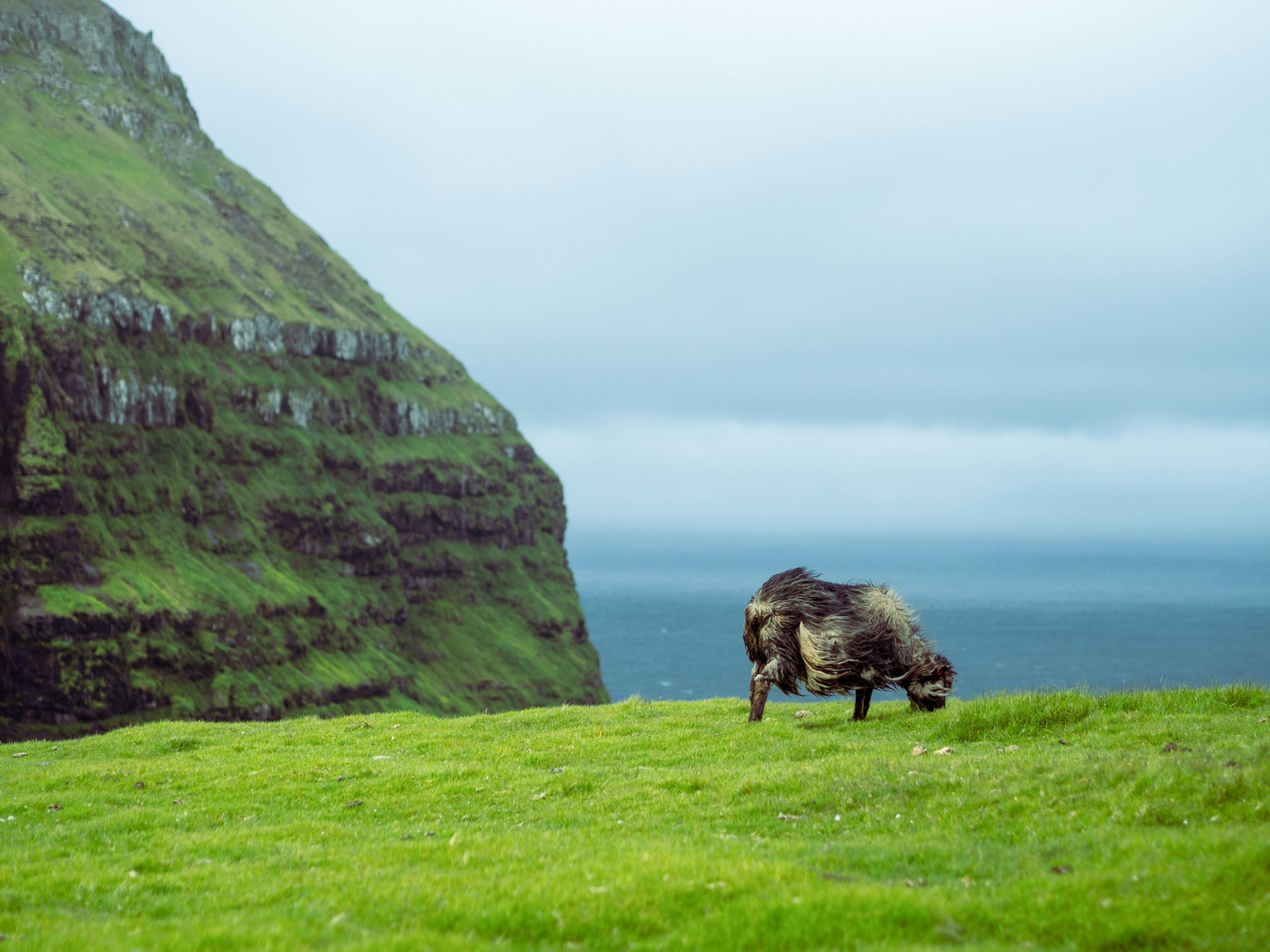 Faroe Islands unsplash