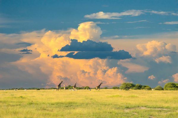 Botswana unsplash